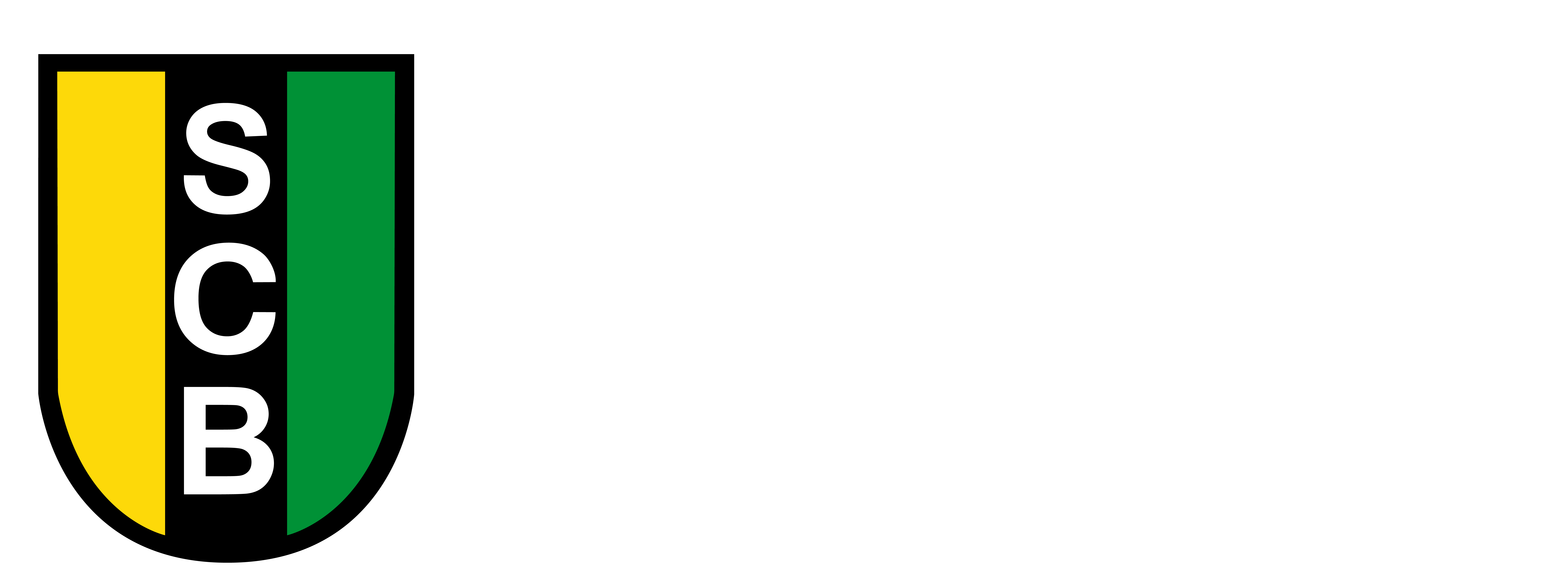 SC Barsinghausen